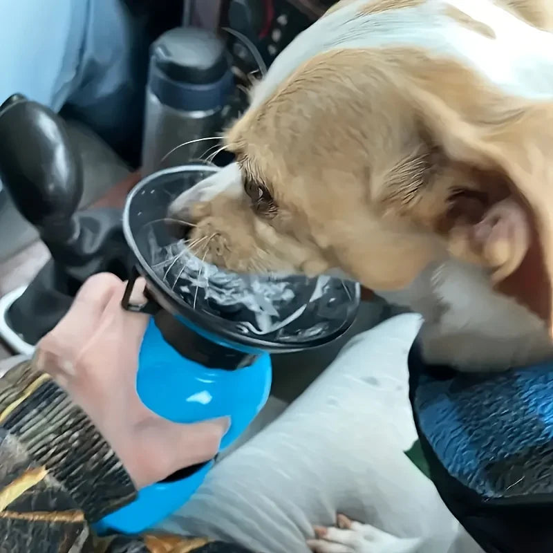 Sbb3ea5f456a04b7da6ee774b23441d111