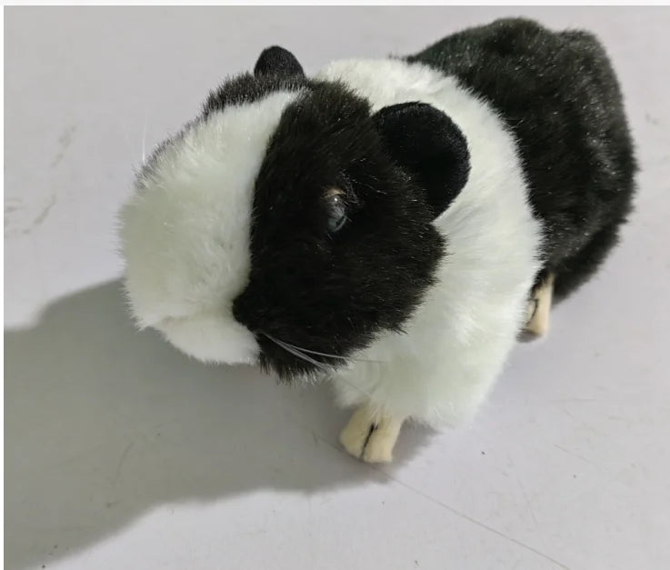 Sbe8a3a46bc8348b0b3624495b55141d3B