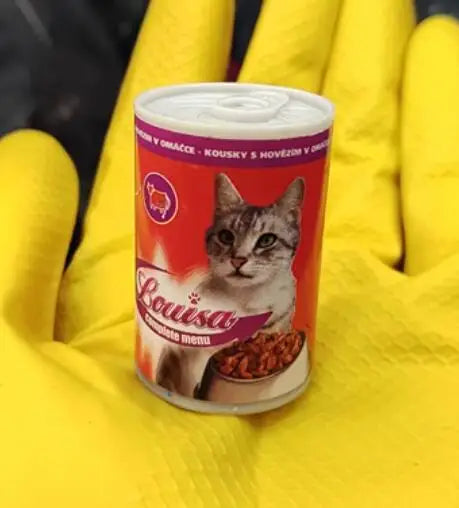 Sbee0f0c07fa943f1bbbd98068c2dd81c8