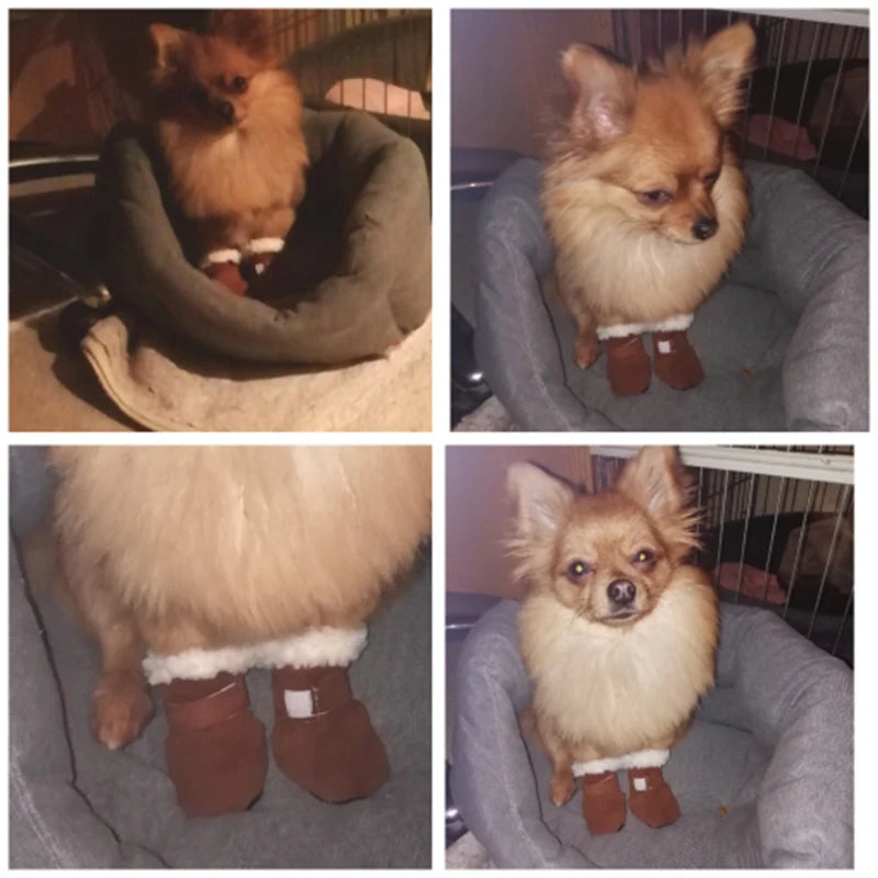 Sc6202433f8a749ca8708476f87cf5b05I