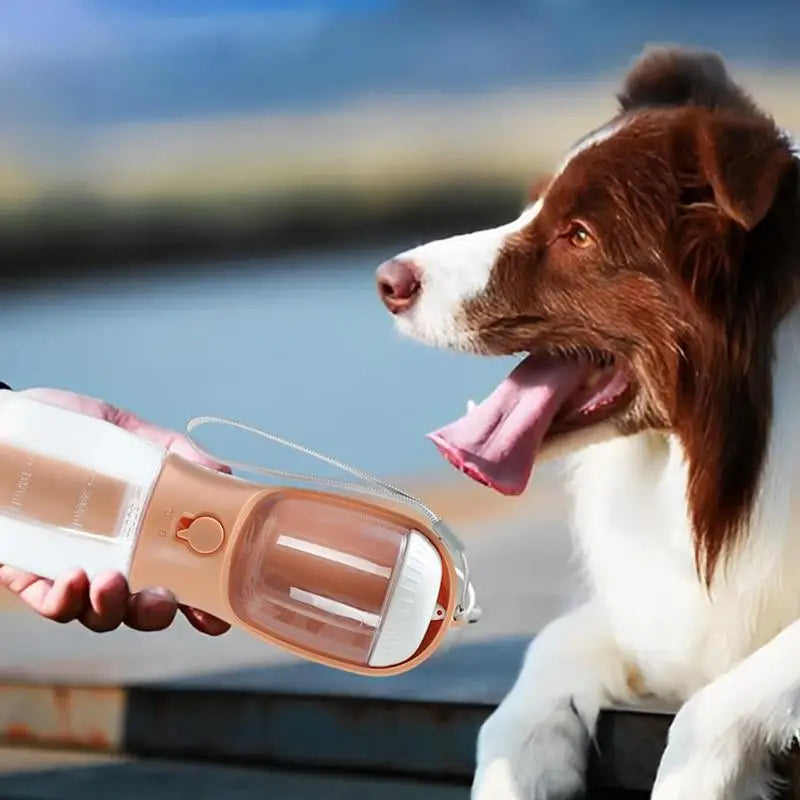 Scbf14773318c437b832fed7ecc4d1ebft