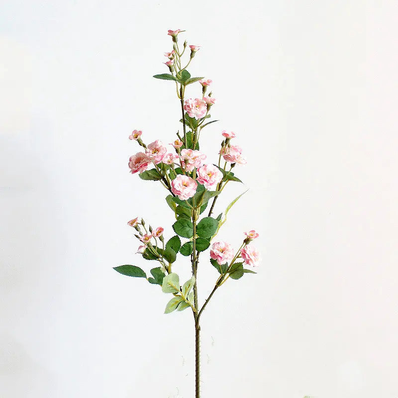 Scc61d0ddb20f41c9ac8bf27397d1cee4d