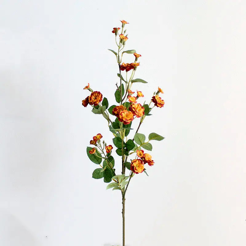 Sce98f52429af49d9ac8fce5a268615b4z