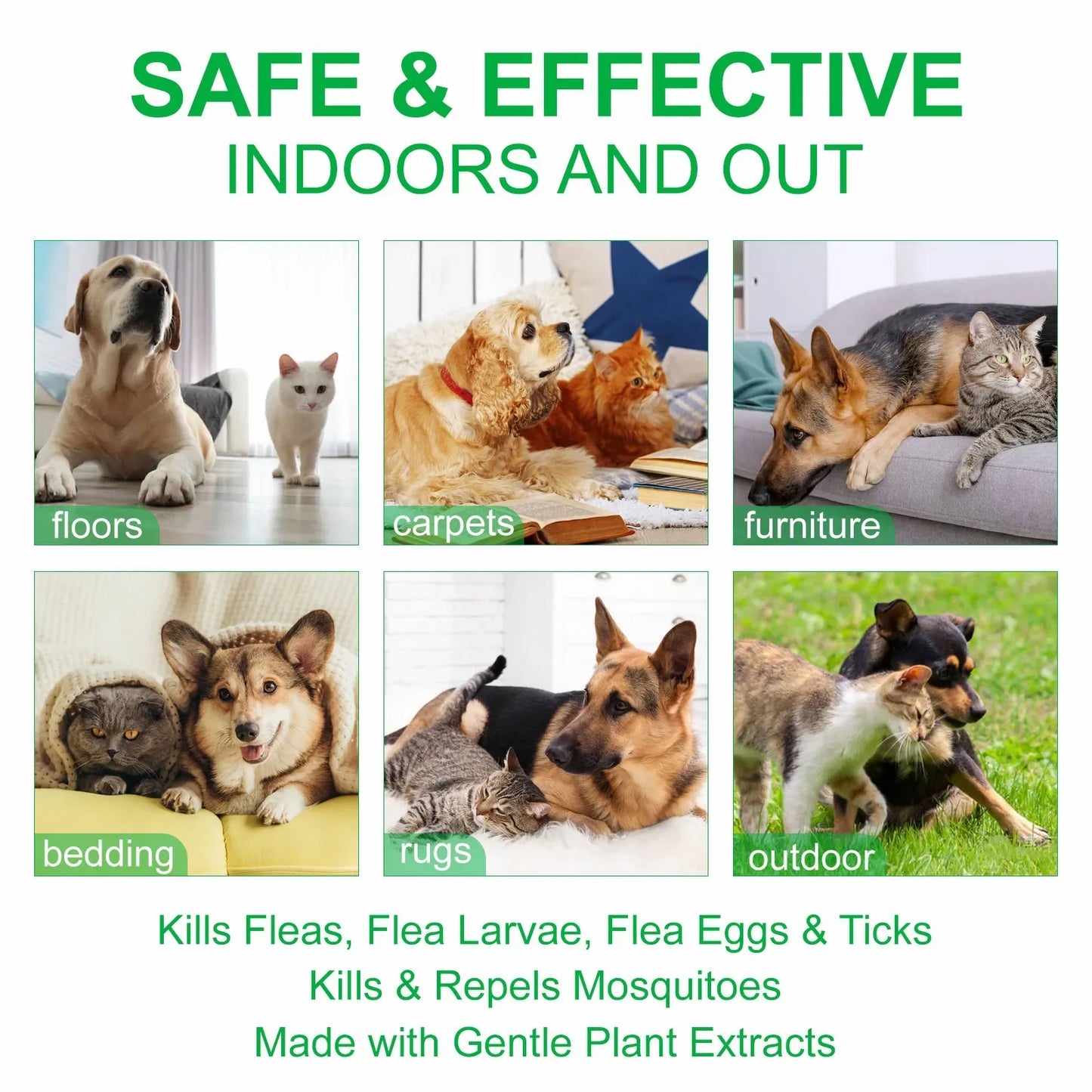 Sd6022d9208b443cba67cb99984a7bedeH