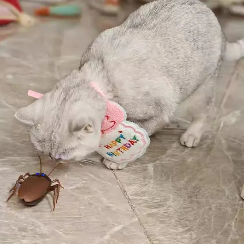 Sddb6e1a24c02431aaf339c248396f445u