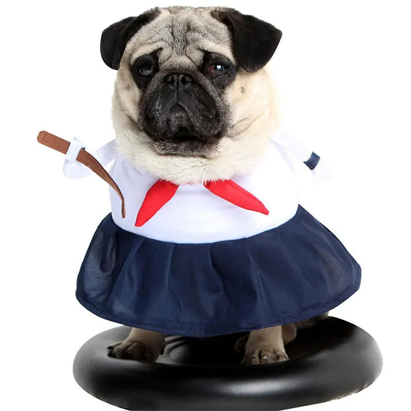 Se307831ff17d44179798a4f78bc70347r
