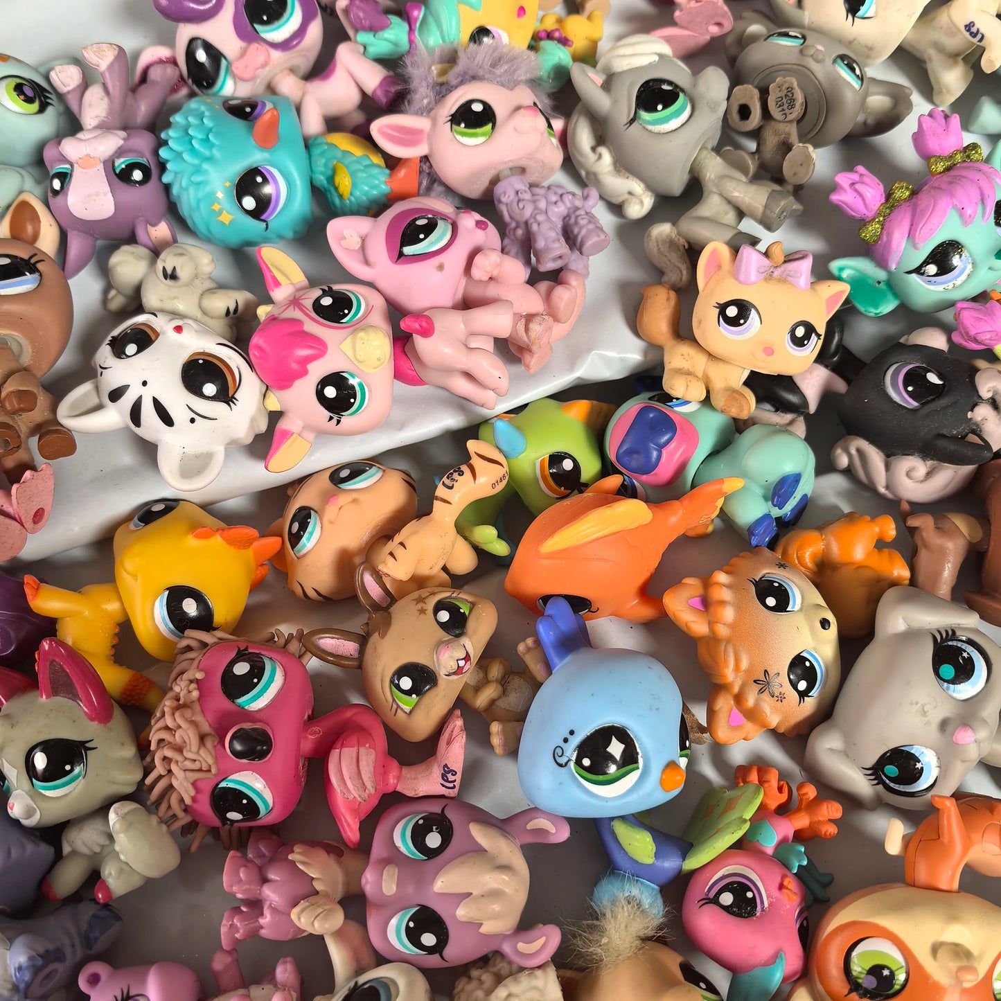 Se6c67a3f9f2a46eaaf1c478407e75c13k