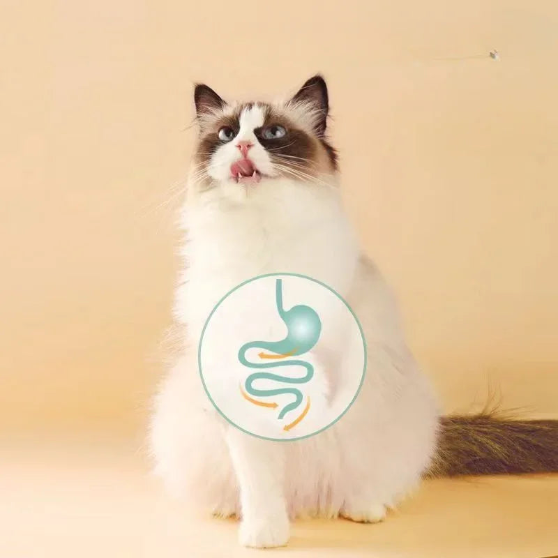 Se95ca5e6d9a247d3bad8077cc1579a35J