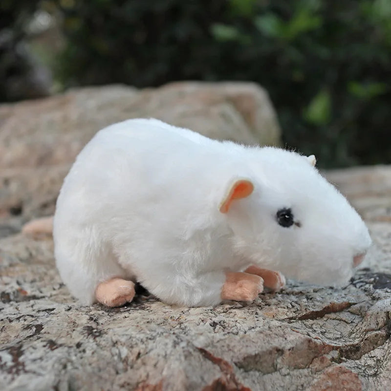 Sec10320a2bb04ebd8b8d39e8098de0d1B