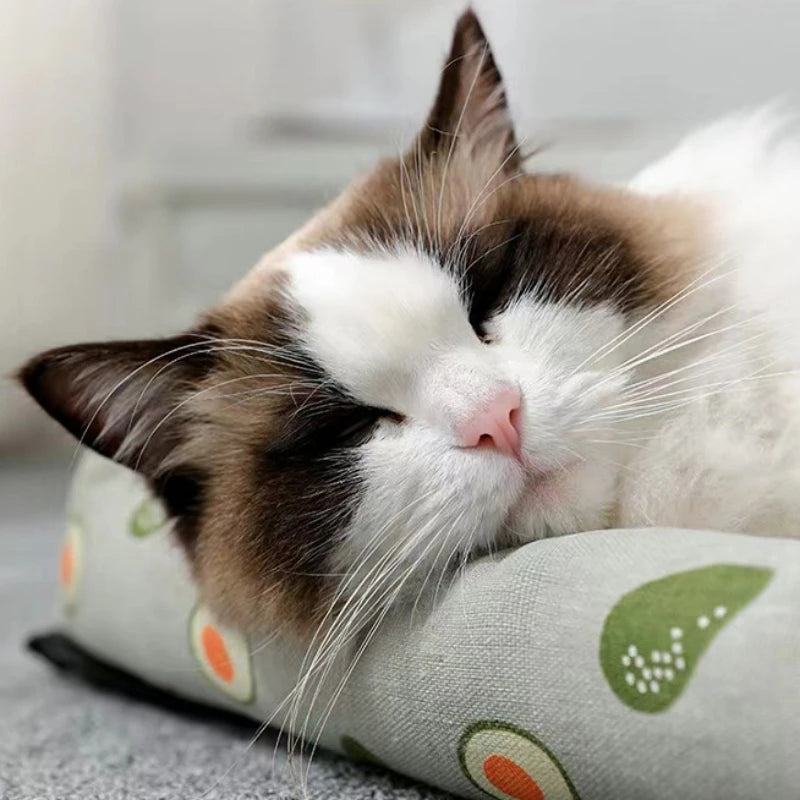 Sed3bc691a30f4346a24edefdef7444a3q