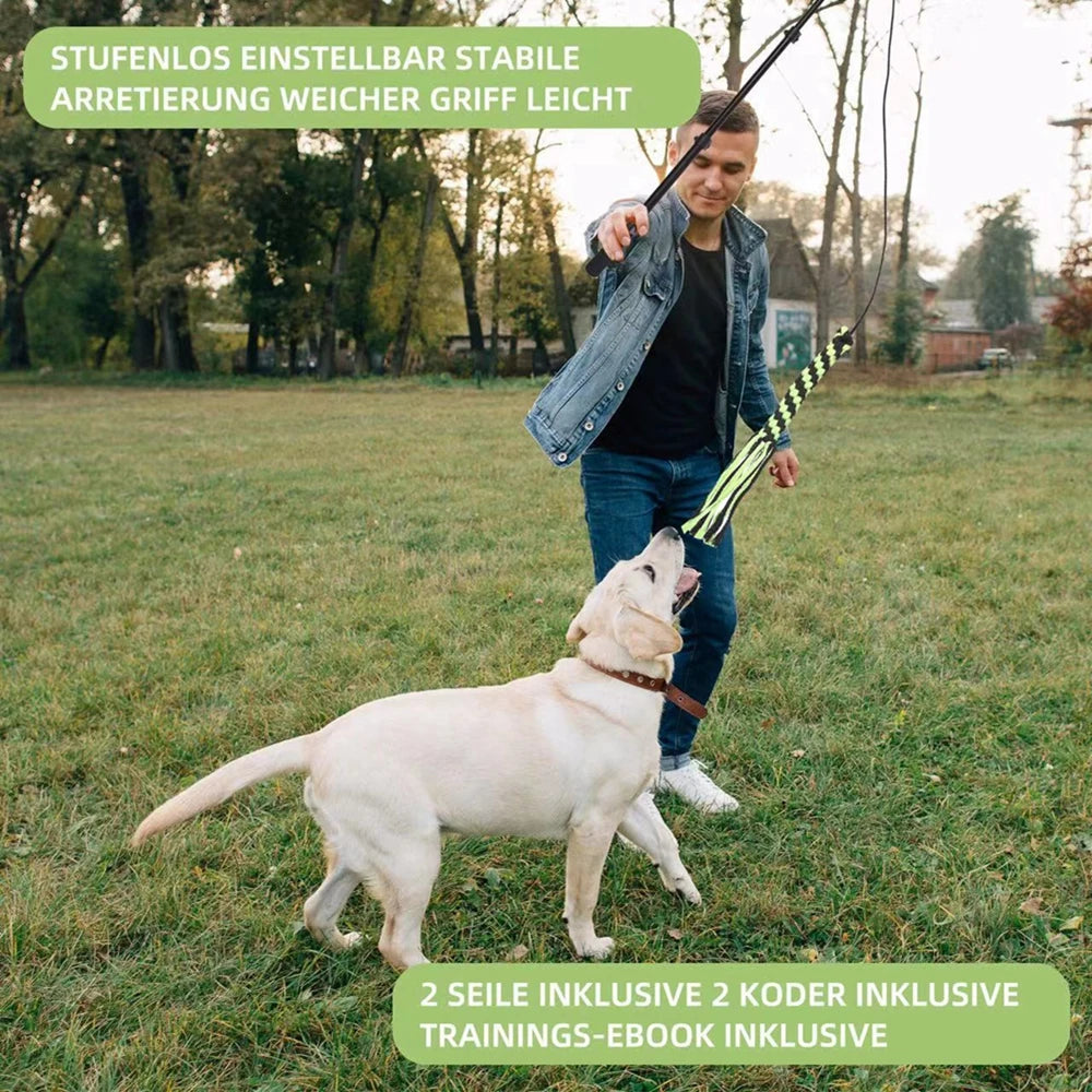 See372242c4ee414a87928d77397d0194X