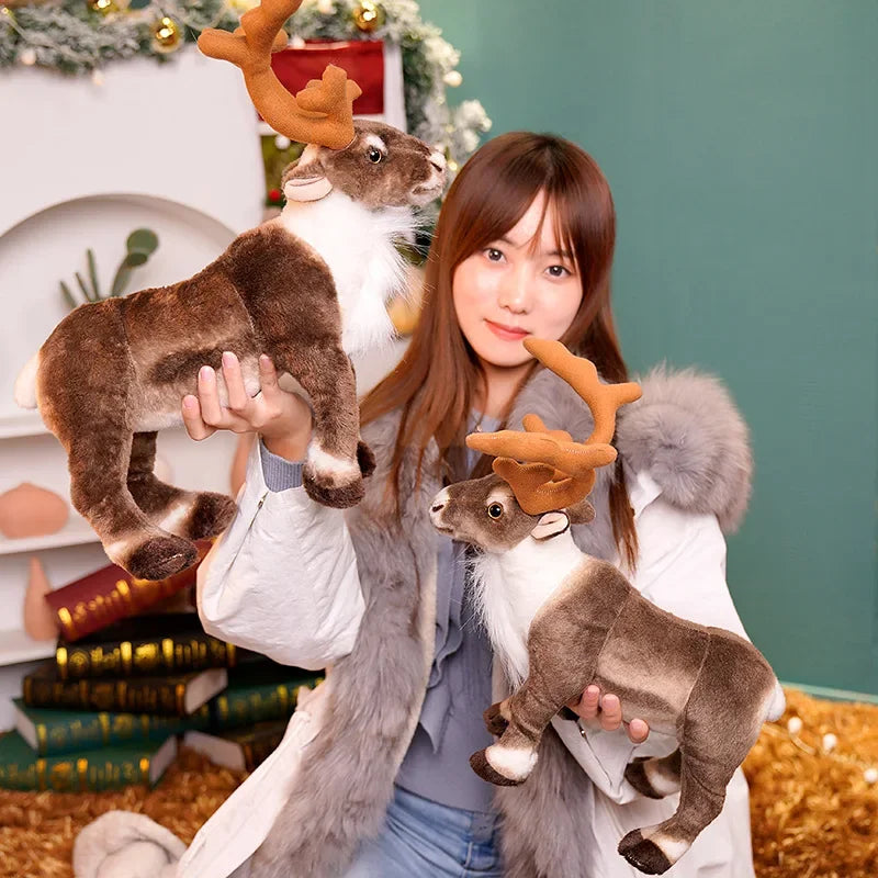 See4e9d702c9f4611b57f7626ac32c34bu