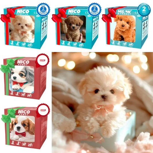 Sf09ac740f5274659a72c0cdfcc3a3f85g