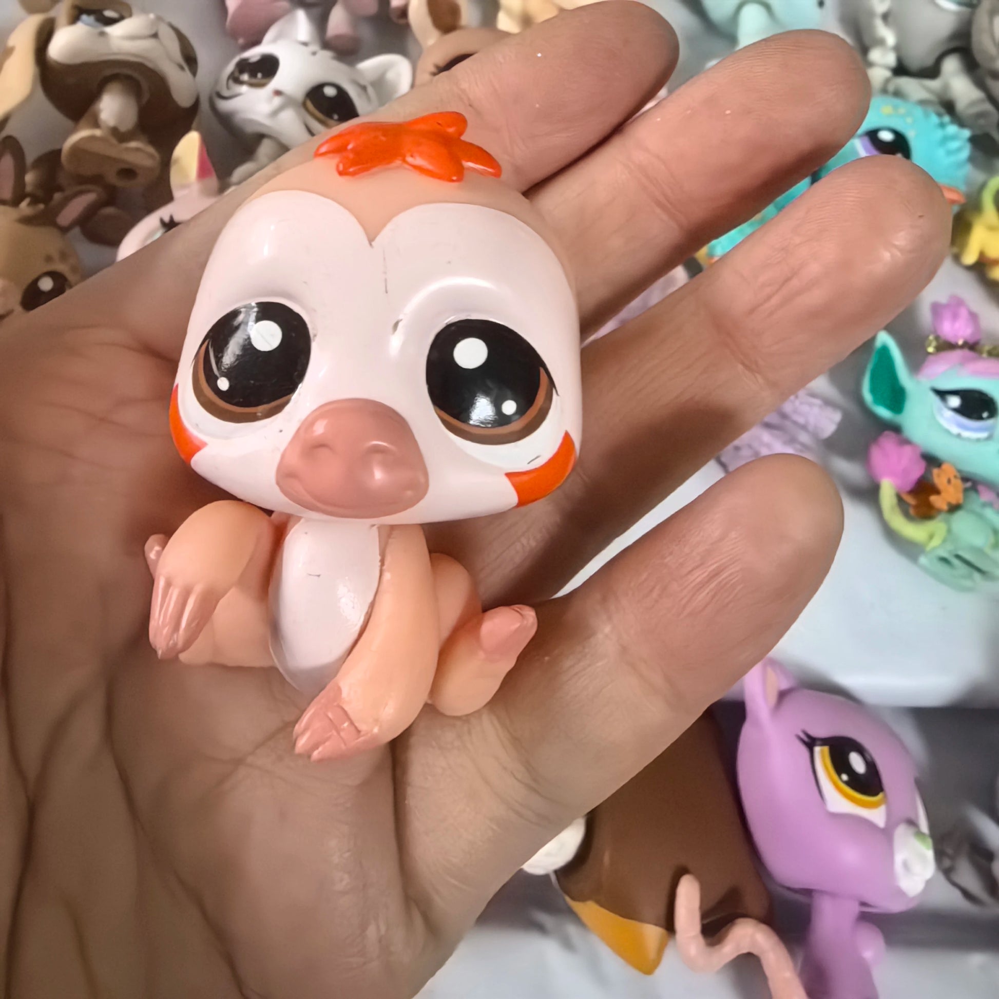 Sf0c920b826664c938edc1bb4f9cc8e5dE