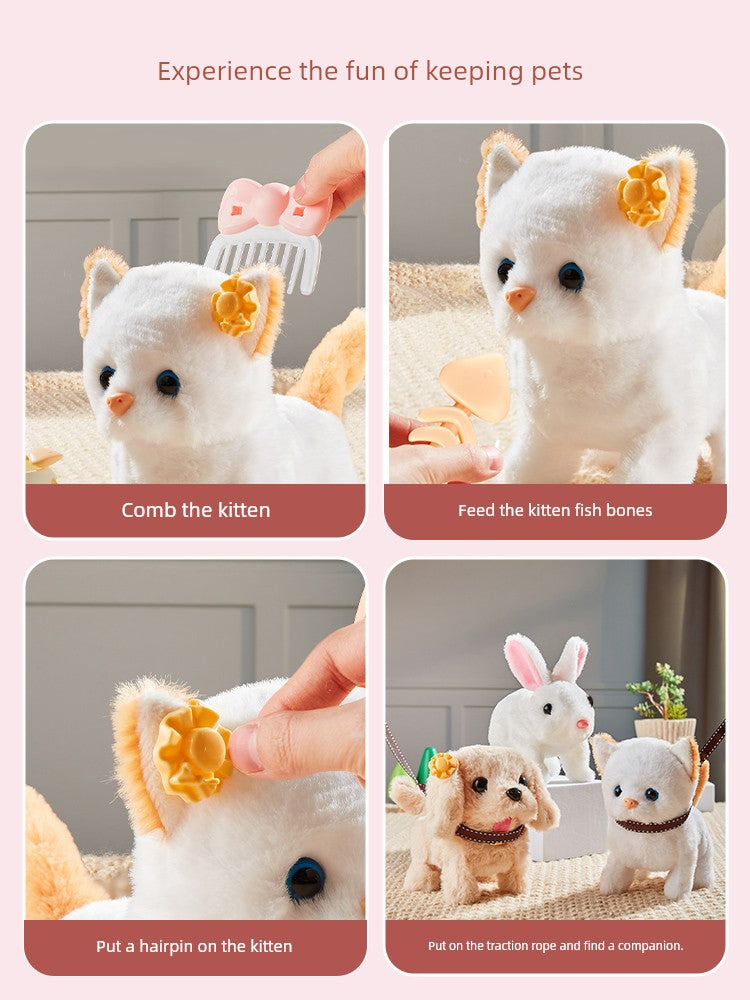 Sf3b82c1e609d4eb483fa7566c6fa61c4k