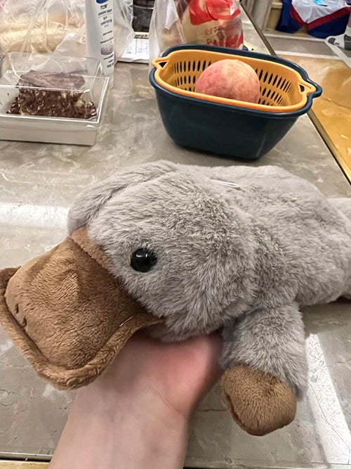 Sf6e8af7b05ba4cfe871af0efd289cfdeS