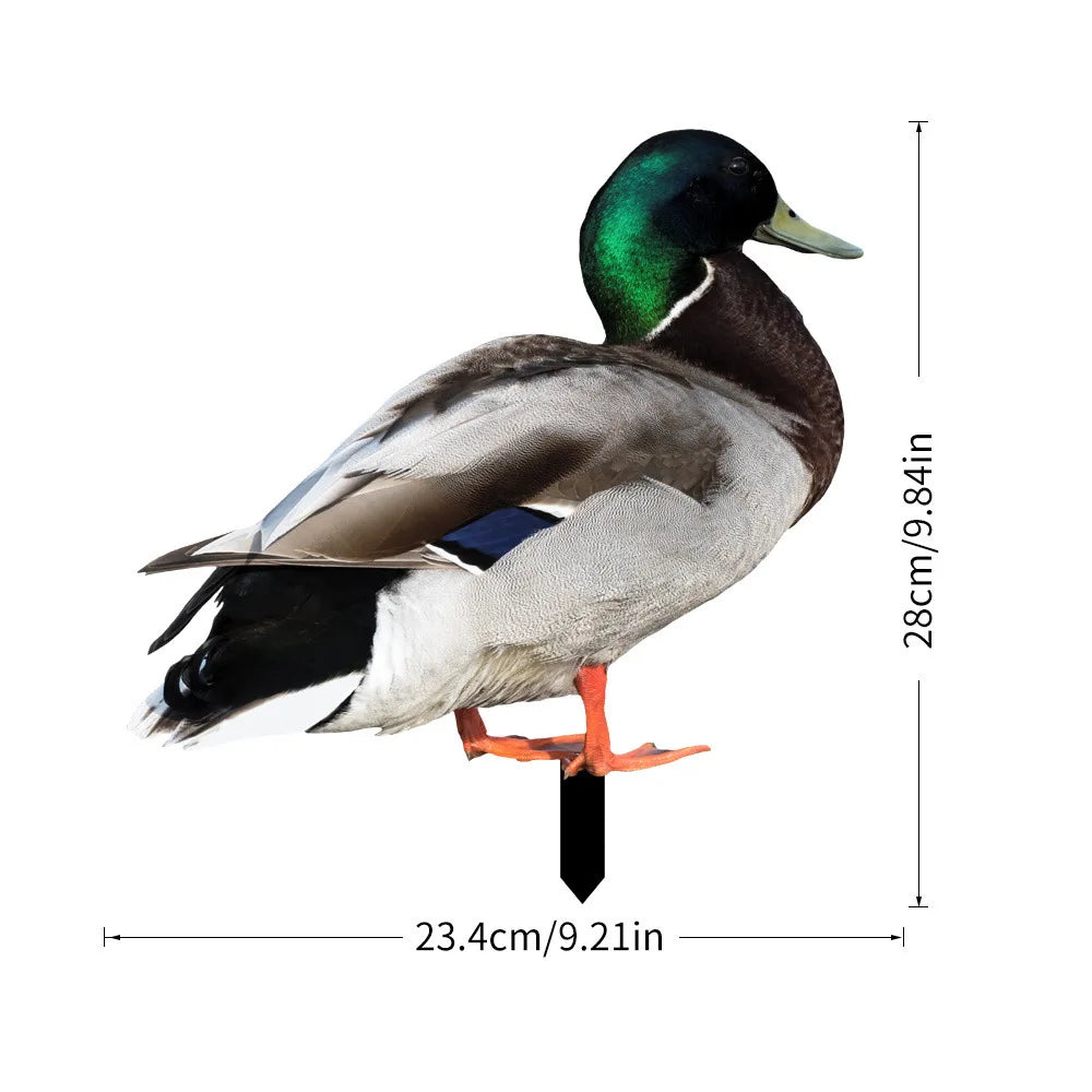 Sface6372ce9f41b19ebc942a6d4db3eck