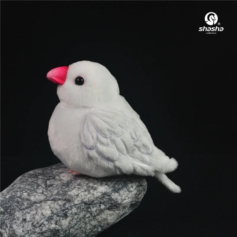 Sfcbc623cb8d74696856e0775ce45f155P