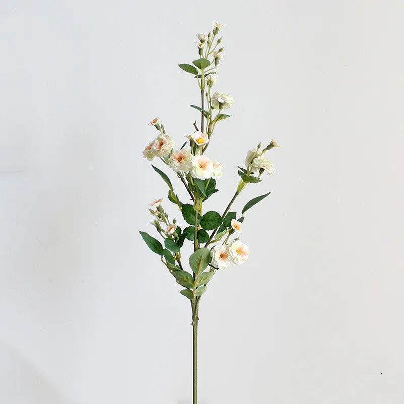 Sfe40c34be9b1427792e59445dfdc37abH