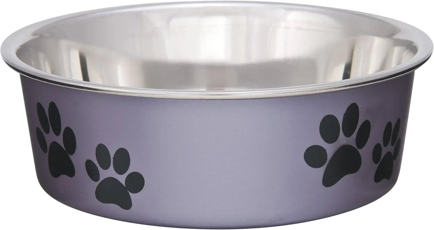 Stainless Steel Dog & Cat Bowl | Spill-Resistant Feeding Bowl (various colors)