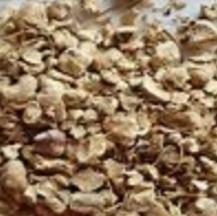 Wild Yam Root