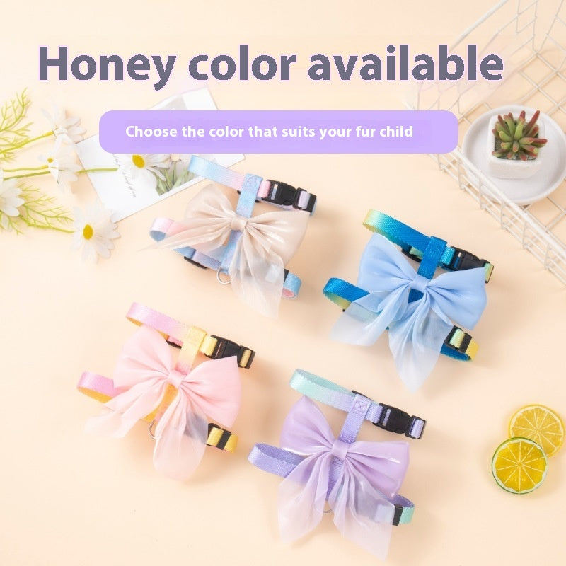 aa5d6e83-fc0d-496f-934c-71114bde79b7_trans