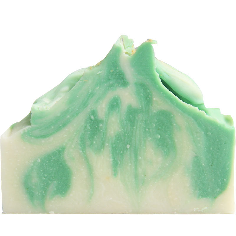 North American Breeze Aloe Vera Oil Washing Hand Soap