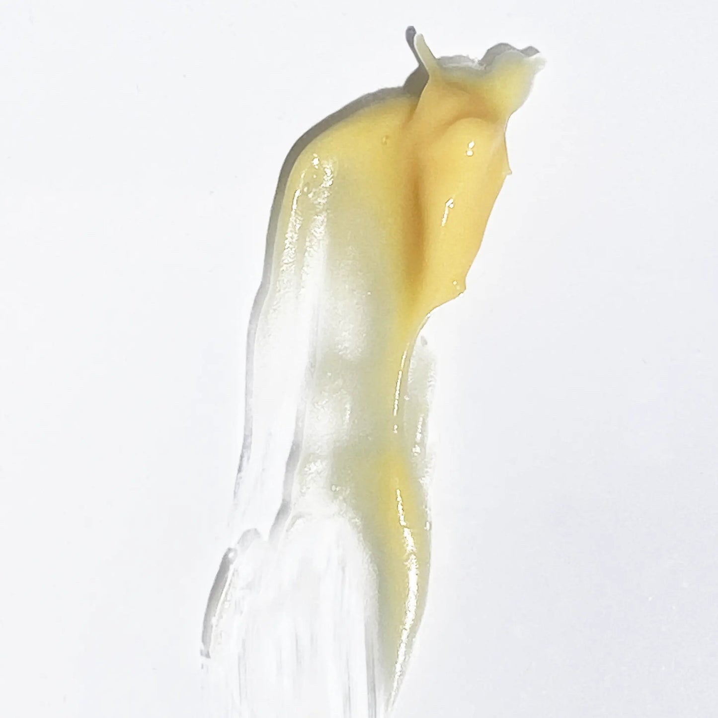 Bakuchiol Night Repair Cream