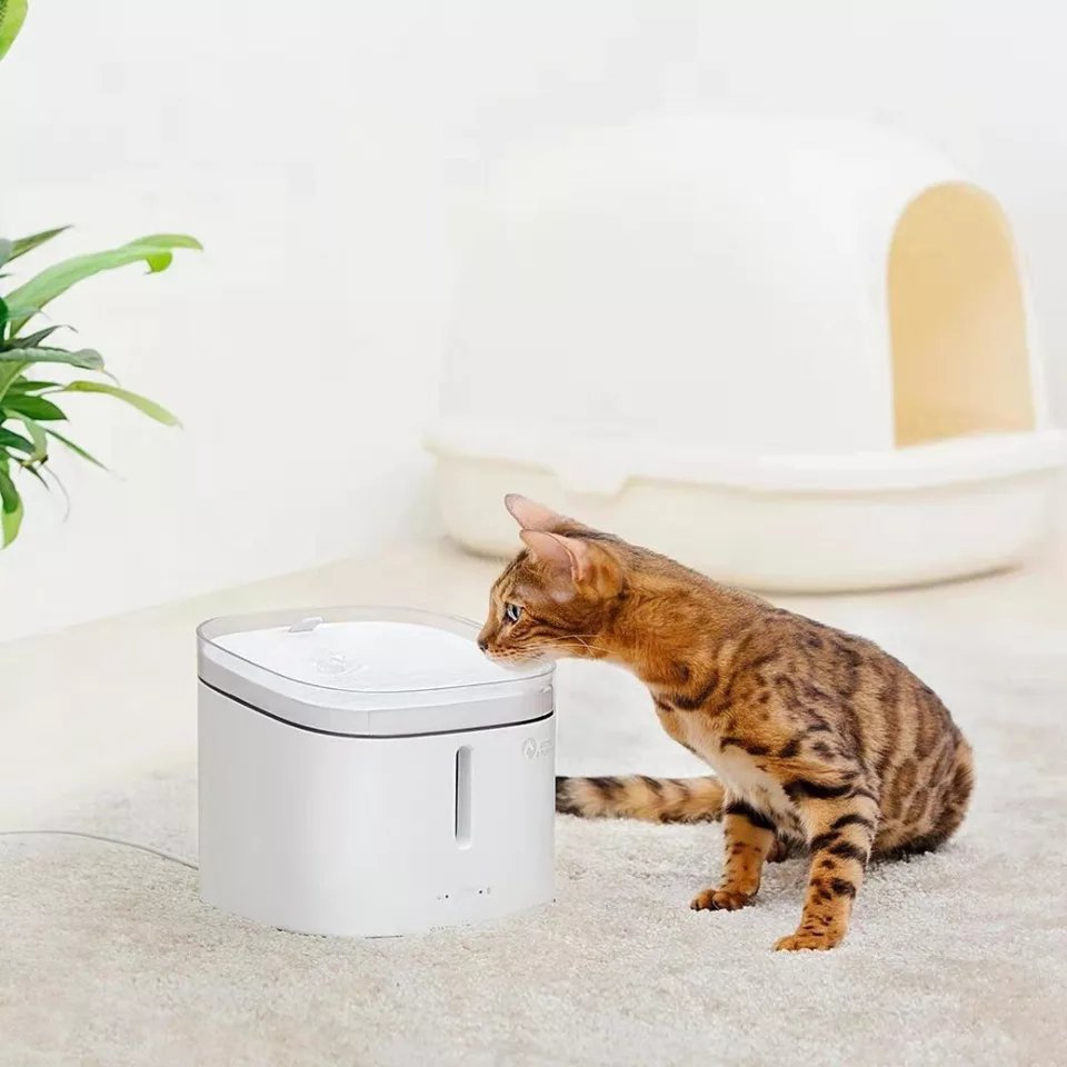 Dog & Cat Drinking Fountain