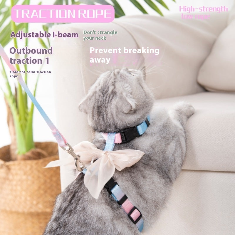 dbd830de-8c2c-478b-8991-620918ad4c2f_trans