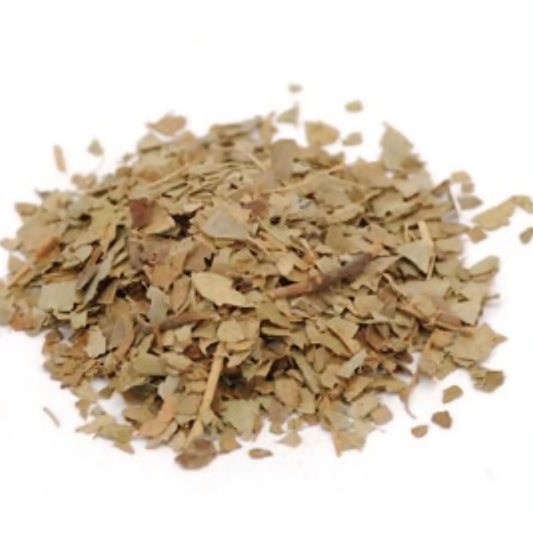 Wintergreen Herb | Pain Relief, Cooling Comfort & Respiratory Support