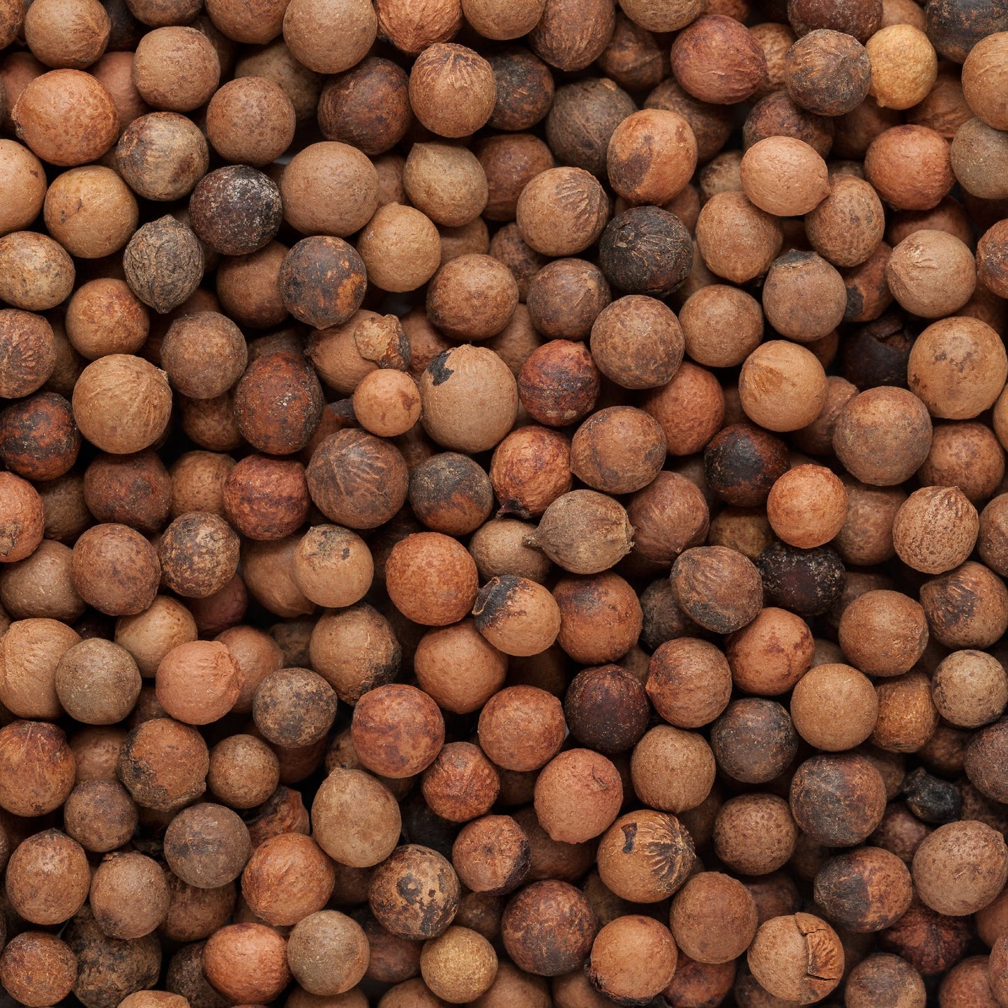 Sandalwood - Wearable Aromatherapy