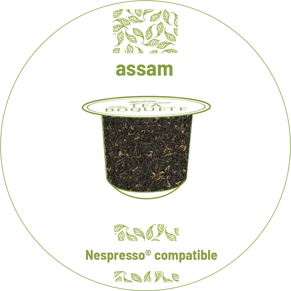 Assam black tea pods for Nespresso brewers OriginalLine compatible capsules