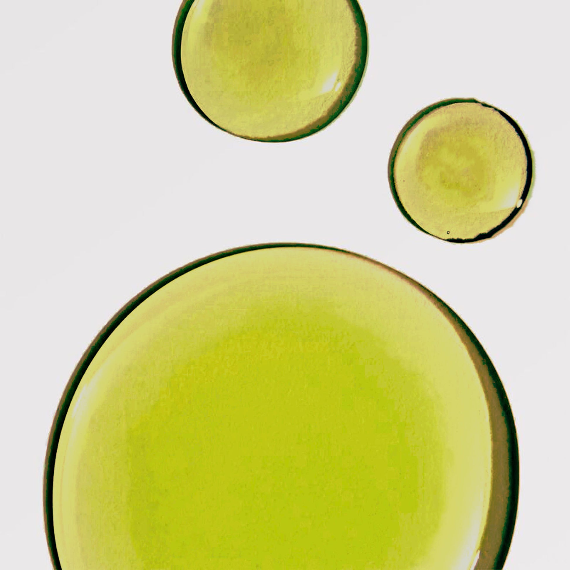 Herban Wisdom® Facial Oil Half Size - cavamart.com